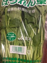 JP ほうれんそう 1P