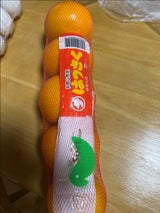 平成 はっさく 1P