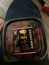 紀州 甲州小梅 100g