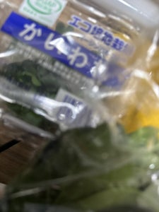 三和 かいわれ大根