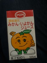 POM みかん・いよかんジュース紙容器 125ml