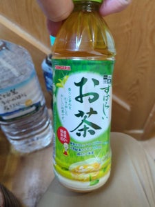 サンガリア 一休茶屋すばらしいお茶 500×24