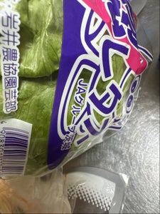 JA全農いばらき レタス