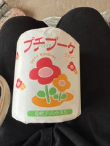 泉製紙 プチブーケ ダブル 1ロール