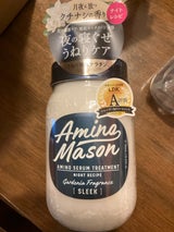 アミノメイソンアミノセラムトリートメント450ml