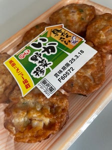 伏見蒲鉾 いか野菜揚 6個