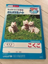 極東 ムツゴロウ こくご 8マスリーダー L81R