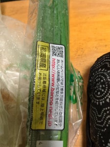 JA福岡 博多万能ねぎ 100g