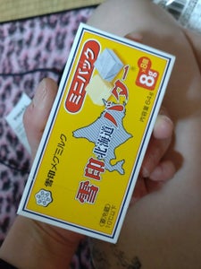 雪印メグミルク 北海道バターミニパック箱 8g×8