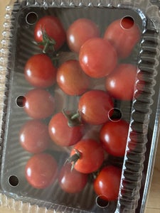 太洋 とまと 1P