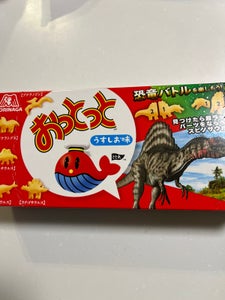 森永製菓 おっとっとうすしお味 52g