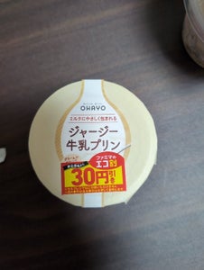オハヨー乳業 ジャージー牛乳プリンミルク 105g