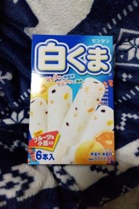 センタン 白くま 6本