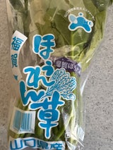 全農山口 ほうれんそう 200g