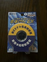 日東 キネロジEX25