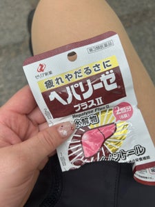 ヘパリーゼプラス2 6錠