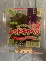 セイル・オン レッドキャベツ