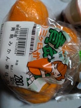名織 青島三ケ日みかん 1P