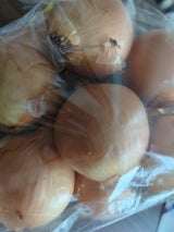 精工 たまねぎロング北海道 1P