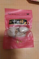 きのこの森 市田柿