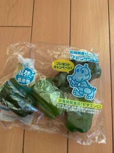 JA宮崎 グリーンザウルス ピーマン