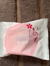 ラグノオささき いのちさくら 1個