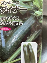 日本農産種苗 ダイナー(ズッキーニ)