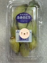 JA群馬 フキノトウ 100g