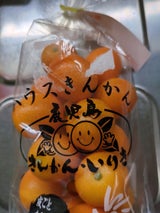 JA鹿児島 いりき完熟金柑