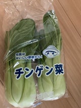 鉾田 チンゲン菜