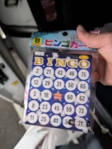 山野紙業 ビンゴカード B 60枚