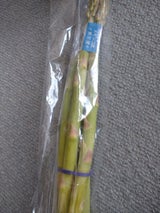 ワタリ アスパラガス 100g