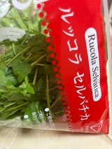 水戸 ルッコラ 1P