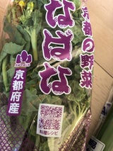 JAやましろ はもの 花菜 150g