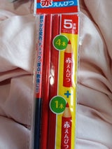 野府 赤えんぴつ 5P