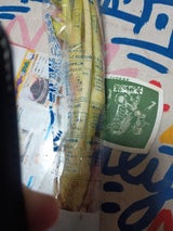 なすの園芸 那須の山うど