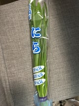 都城竹田 にら