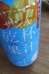 JA宮崎 サンA乾杯果汁マンゴー酎ハイ 350ml