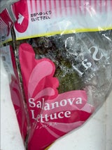 全農茨城 レタス サラノバレッドクリスピー 70g