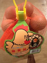 倉持 ネット地養卵