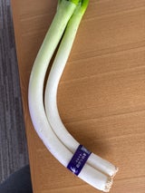 全農宮城 まがりねぎ 1P