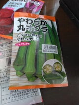 日本農産種苗 やわらか丸オクラ