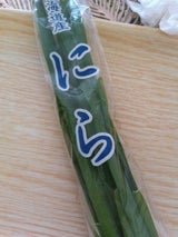 ファームファミリー にら 80g