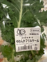 わーふぁ 有機栽培 やわらかフリルケール