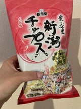 新潟堂 新潟チップスえび味 100g