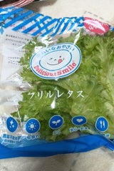 バイテック 鹿児島県産フリルレタス 100g