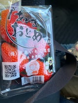 坂本いちご農園 いちご