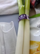 JA球磨 熊本県産白ねぎ1束 300g