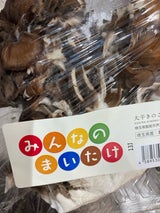 大平きのこ みんなのまいたけ 300g