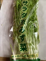 ベグハウス 水菜